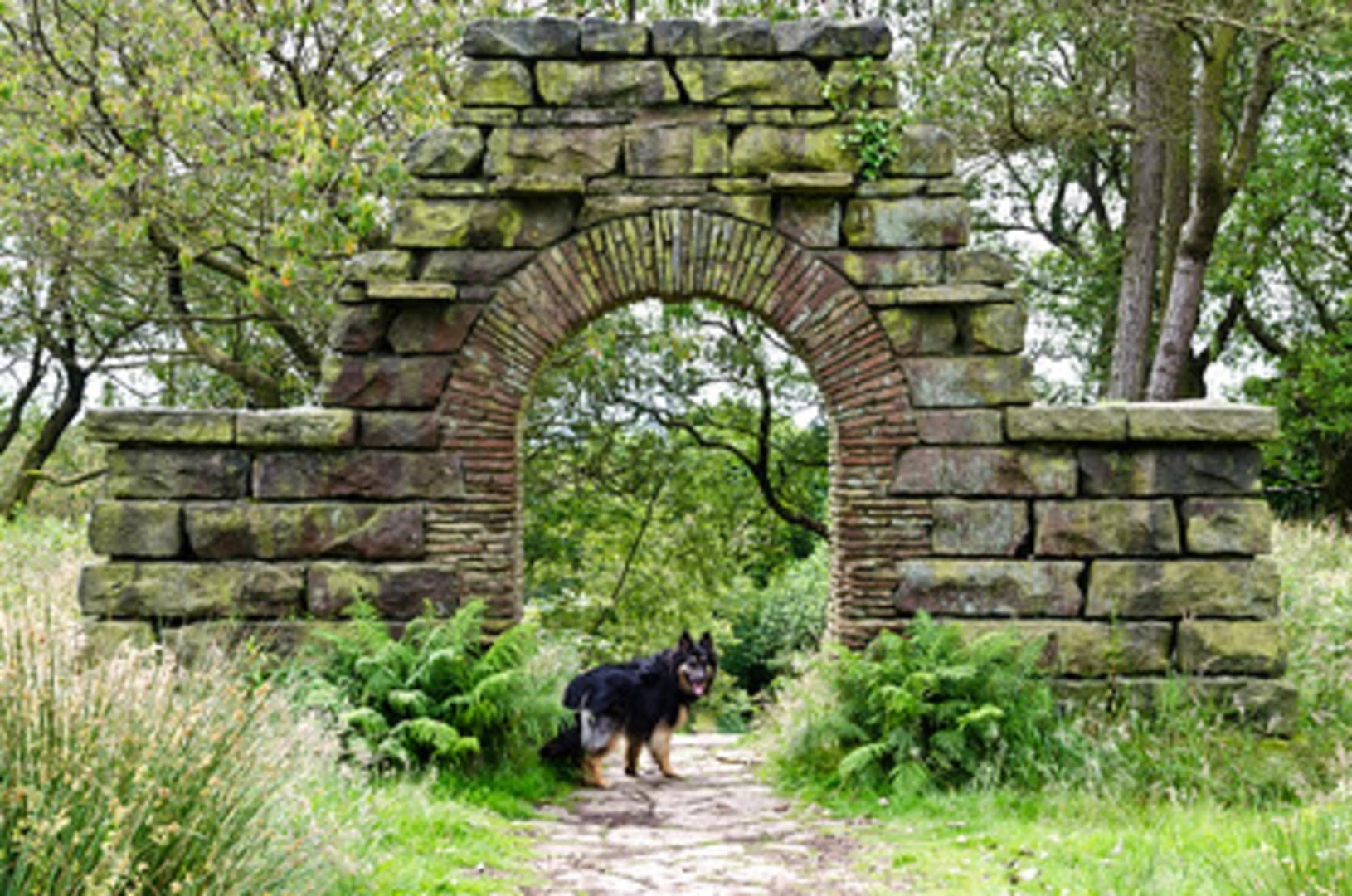 An image depicting the trail Rivington Terraced Gardens Loop and its surrounding area.