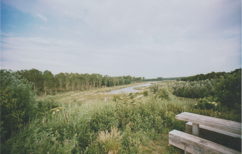 Kotterbos and Vaartplas Loop