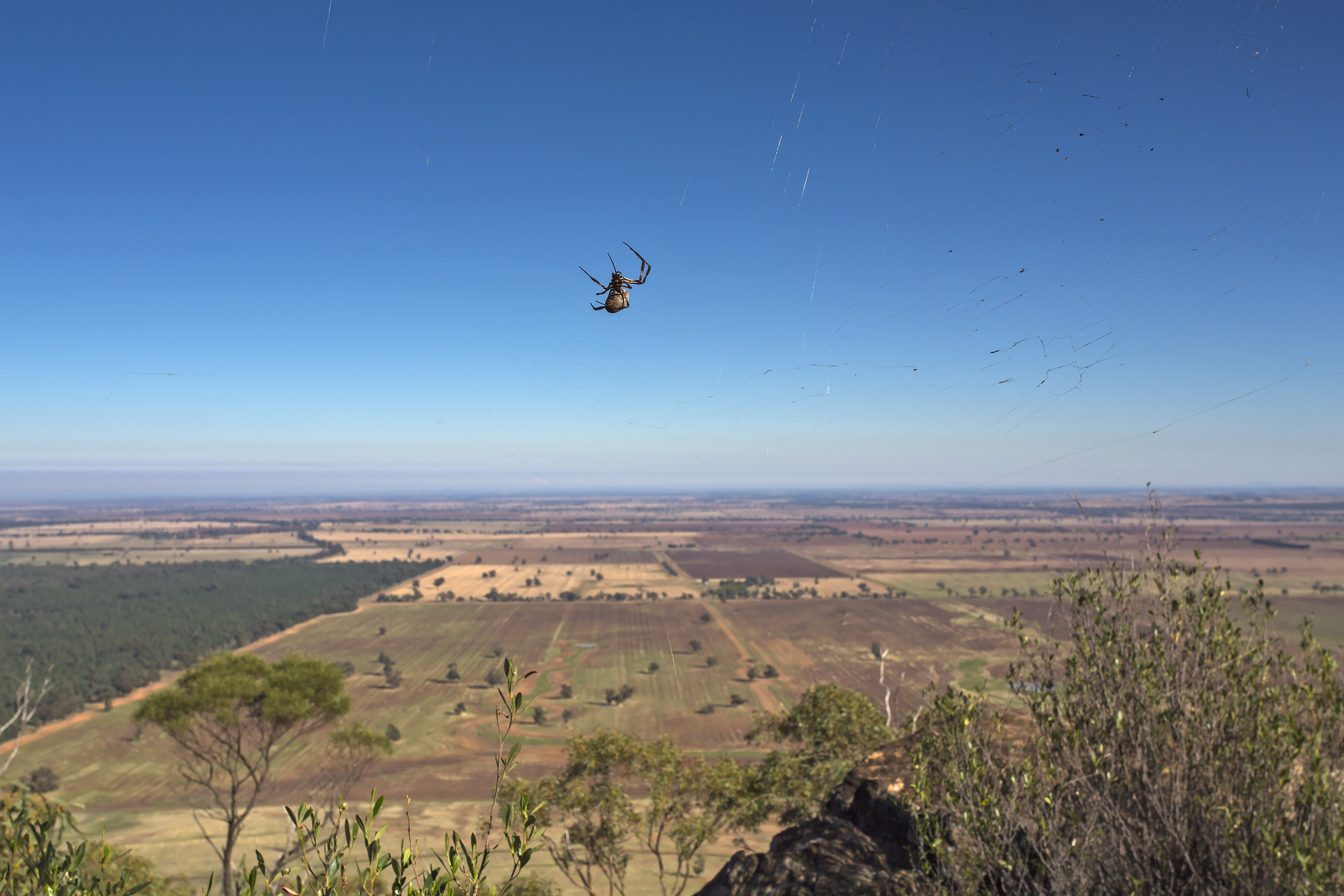 An image depicting the trail Cocoparra National Park and its surrounding area.