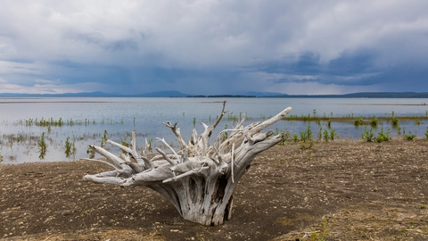 An image depicting the trail Pelican Creek Nature Trail and its surrounding area.