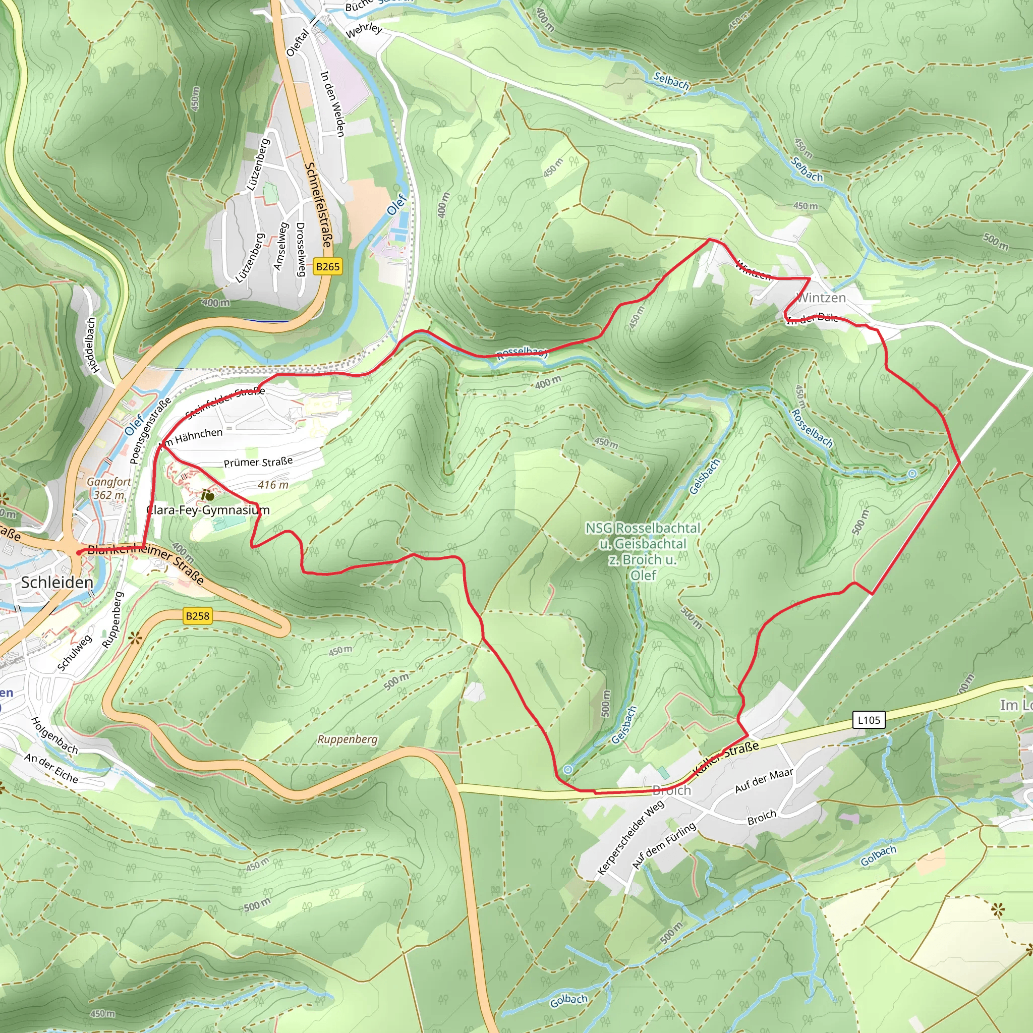 Schleiden 2 Loop mobile static map