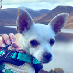 Robert Bunting avatar