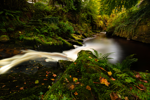 Cadamstown Nature Eco Trail Loop