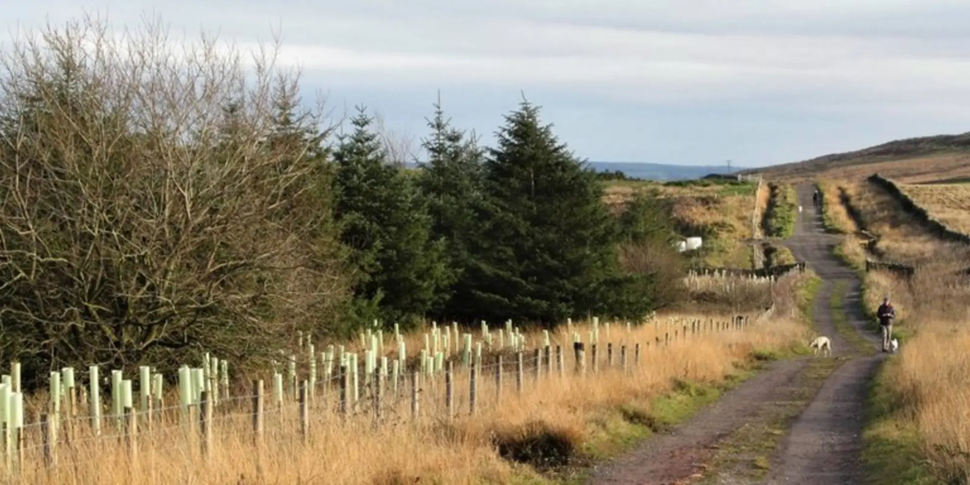 An image depicting the trail Silsden Moor - Low Bradley - Skipton Moor and Draughton Moor and its surrounding area.