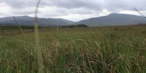 An image depicting the trail Letterkeen Loop and its surrounding area.