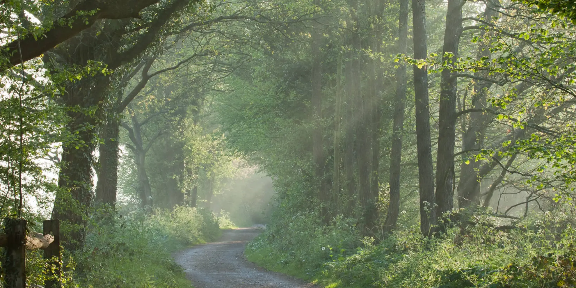 An image depicting the trail Ashdown Forest Perambulation and its surrounding area.