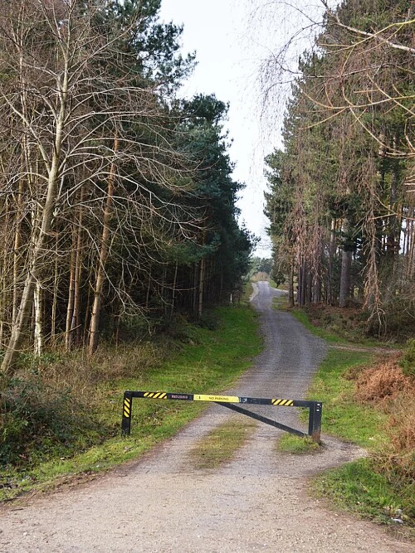 An image depicting the trail Brereton, Slitting Mill and Rugeley Loop and its surrounding area.