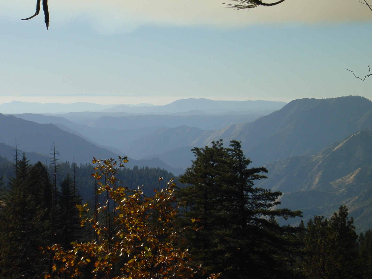 An image depicting the trail Monroe Meadows via Indian Creek Trail and its surrounding area.