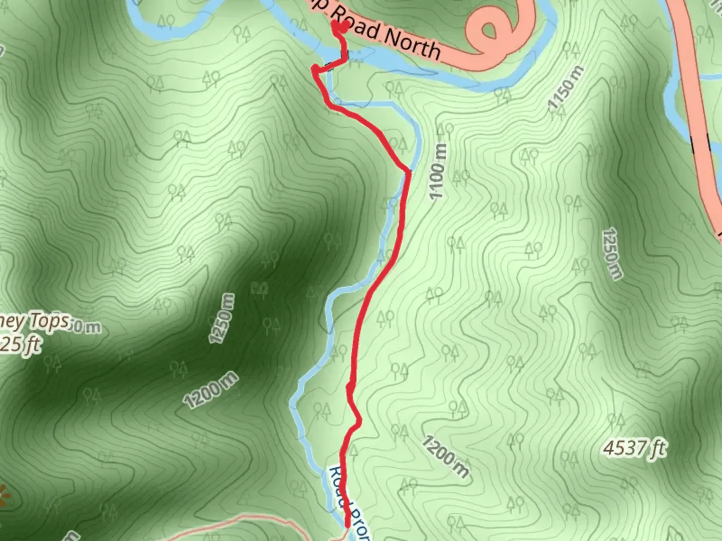 An image depicting the trail Road Prong via Chimney Tops Trail and its surrounding area.