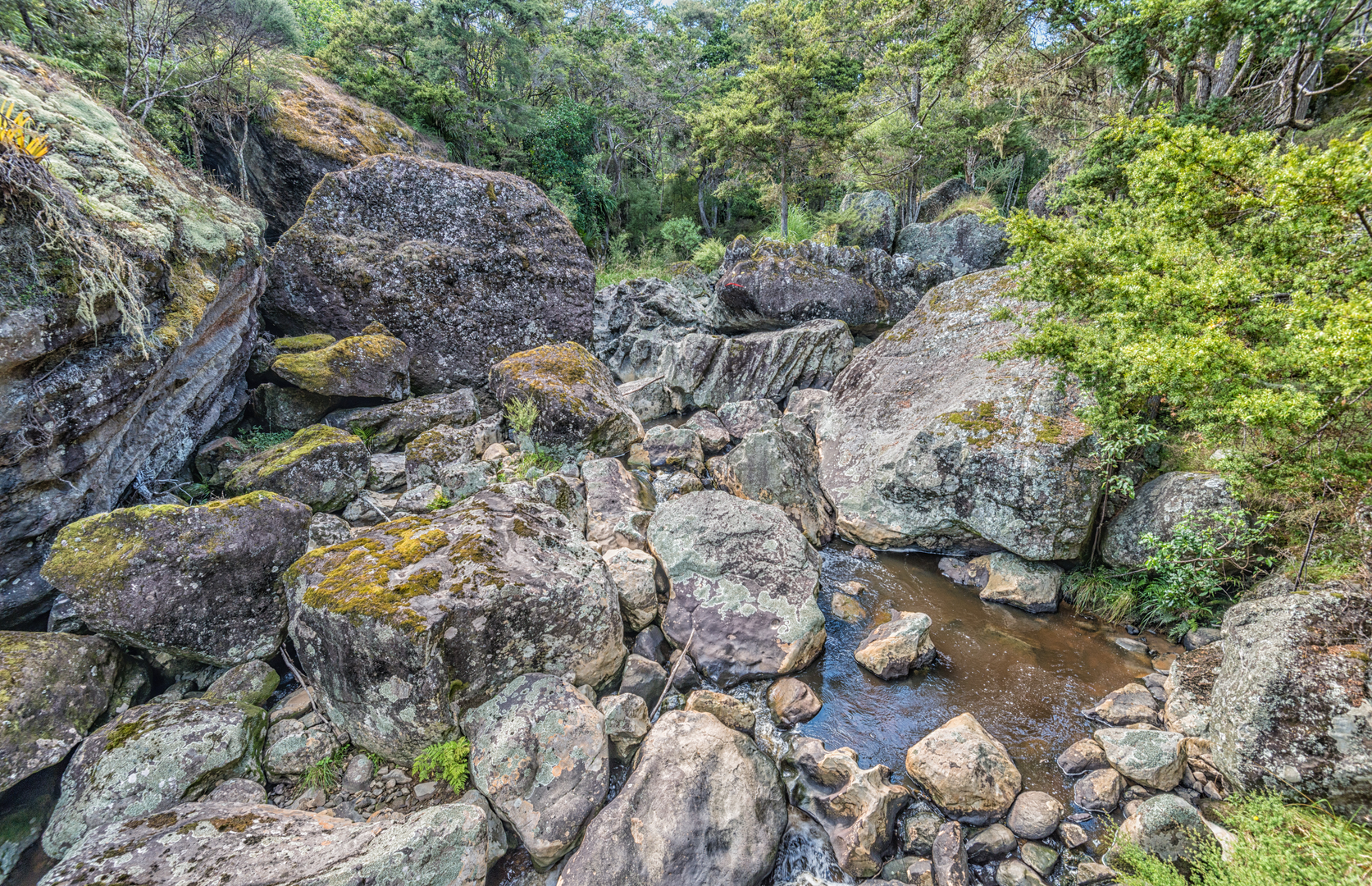 An image depicting the trail Wairere Boulders Loop and its surrounding area.