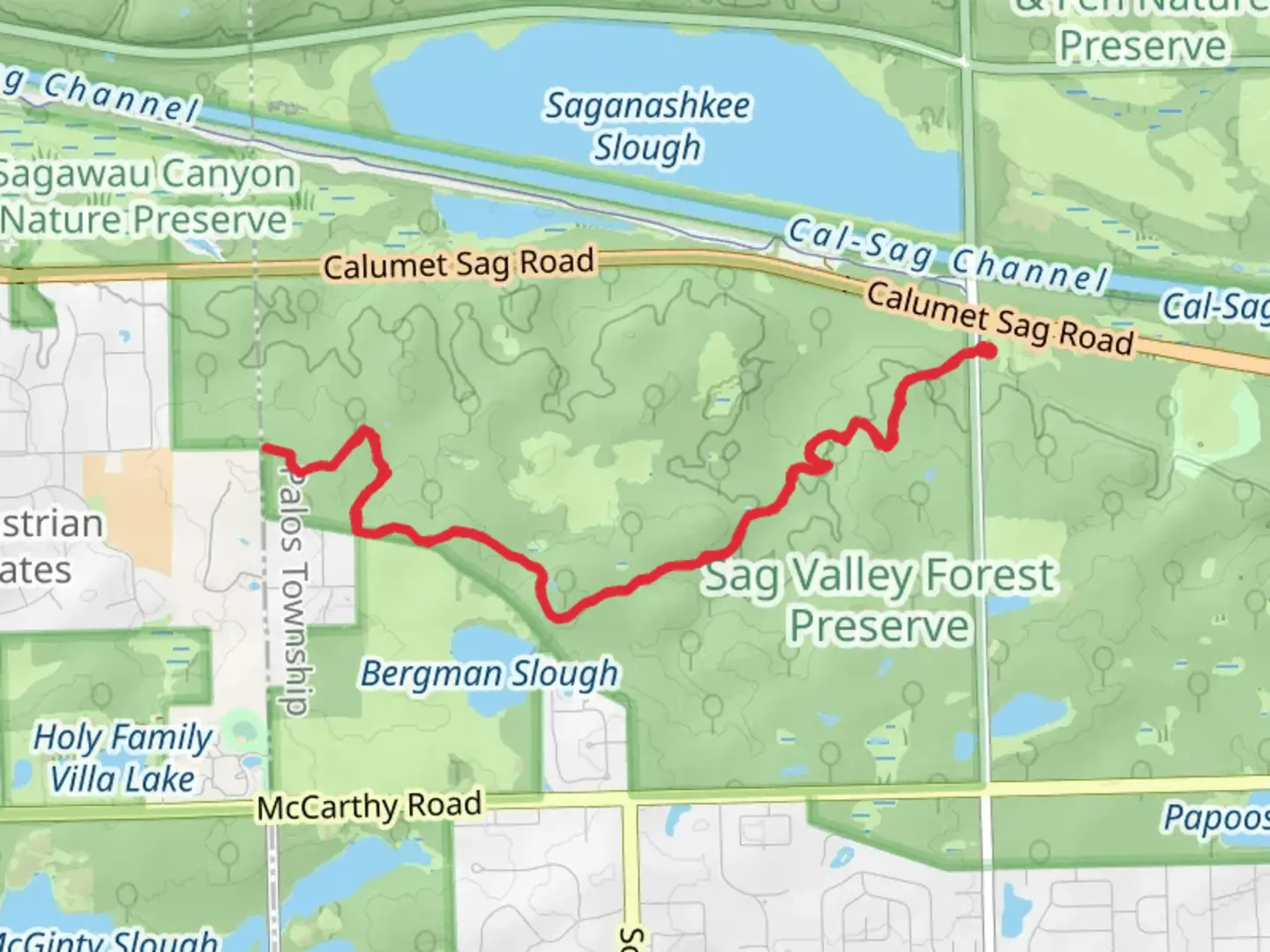 An image depicting the trail Sag Valley Yellow Unpaved Trail and its surrounding area.