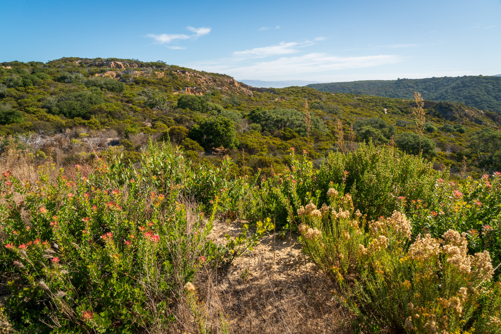 An image depicting the trail East Perimeter Road Loop - Trail 01 and its surrounding area.