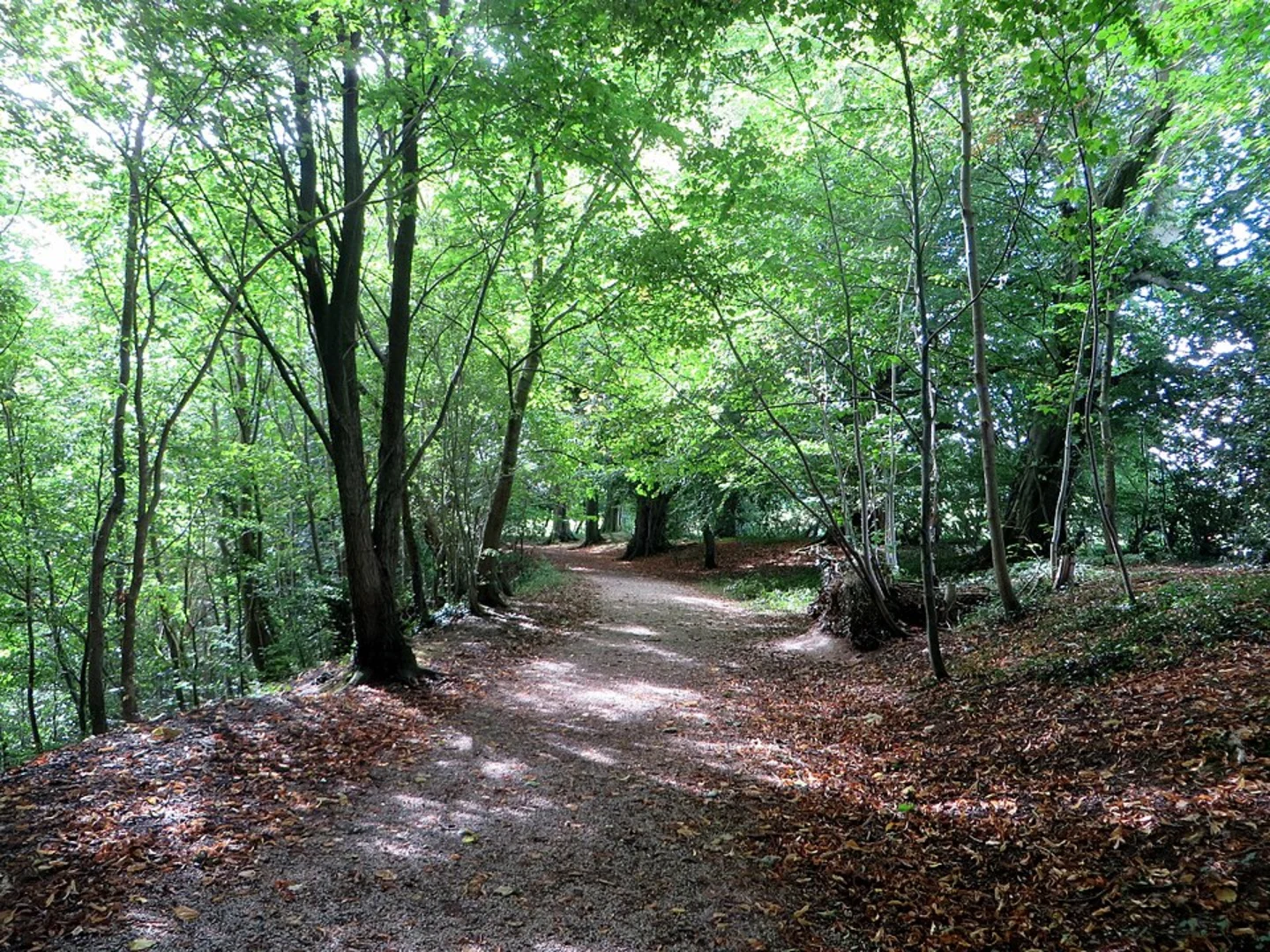 An image depicting the trail Duddon Bridge, Croglinhurst, Seathwaite and Ulpha Loop via Dunnerdale Forest and its surrounding area.