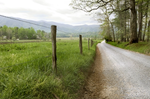An image depicting the trail Crib Gap Trail and its surrounding area.