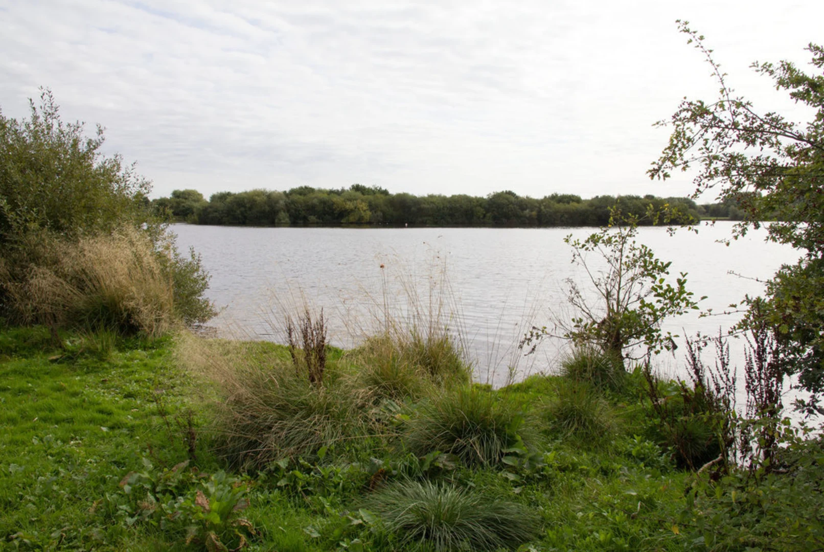 An image depicting the trail Kingsbury Water Park and its surrounding area.