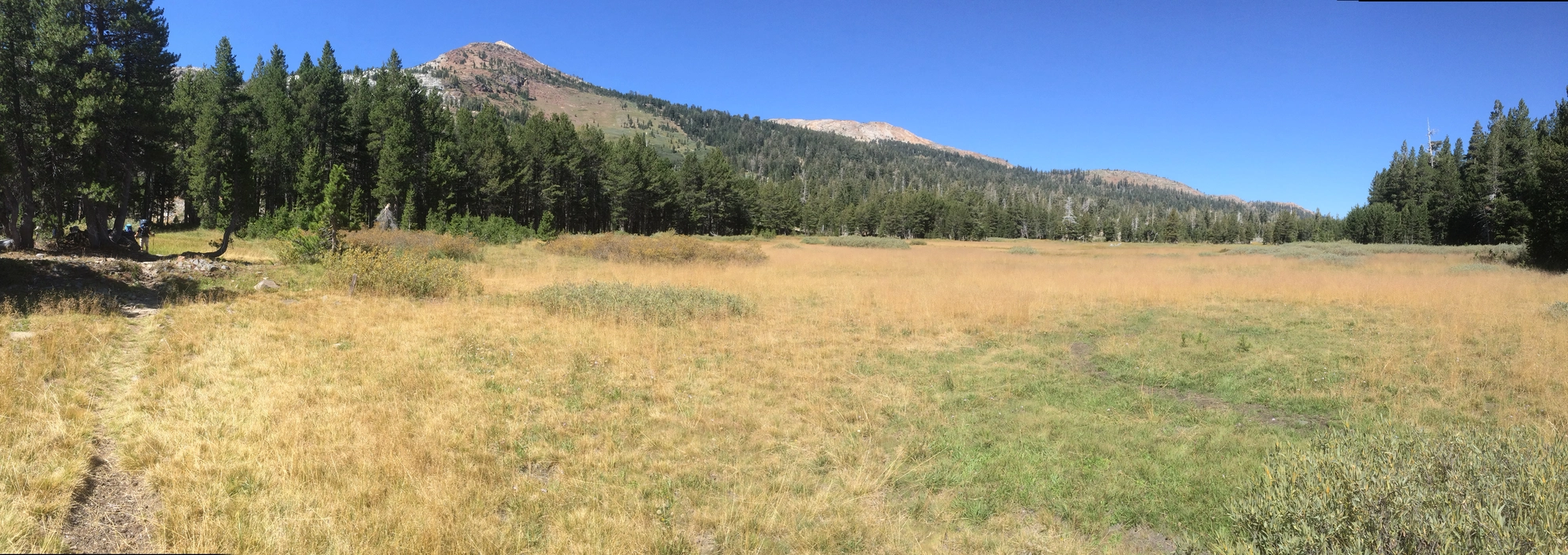 An image depicting the trail Rubicon River Out and Back and its surrounding area.
