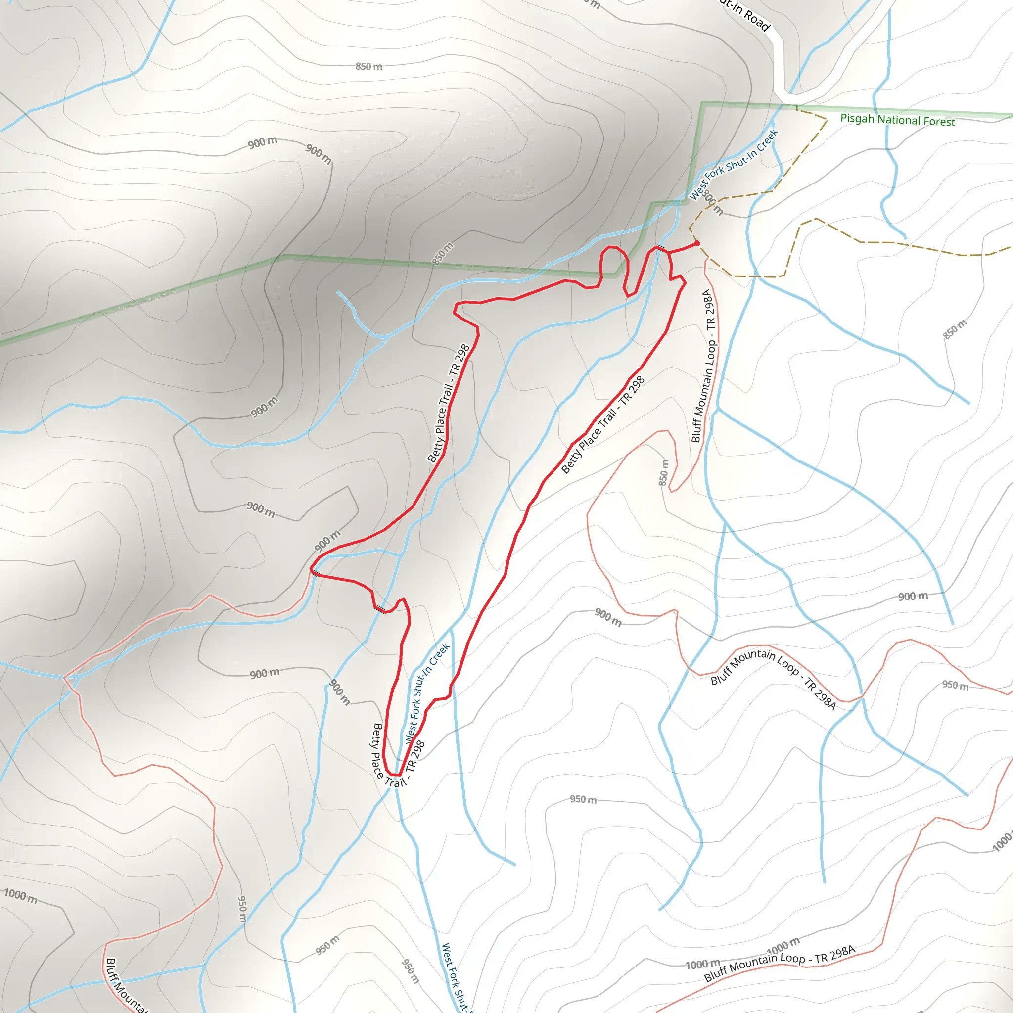 Betty Place Loop Trail mobile static map