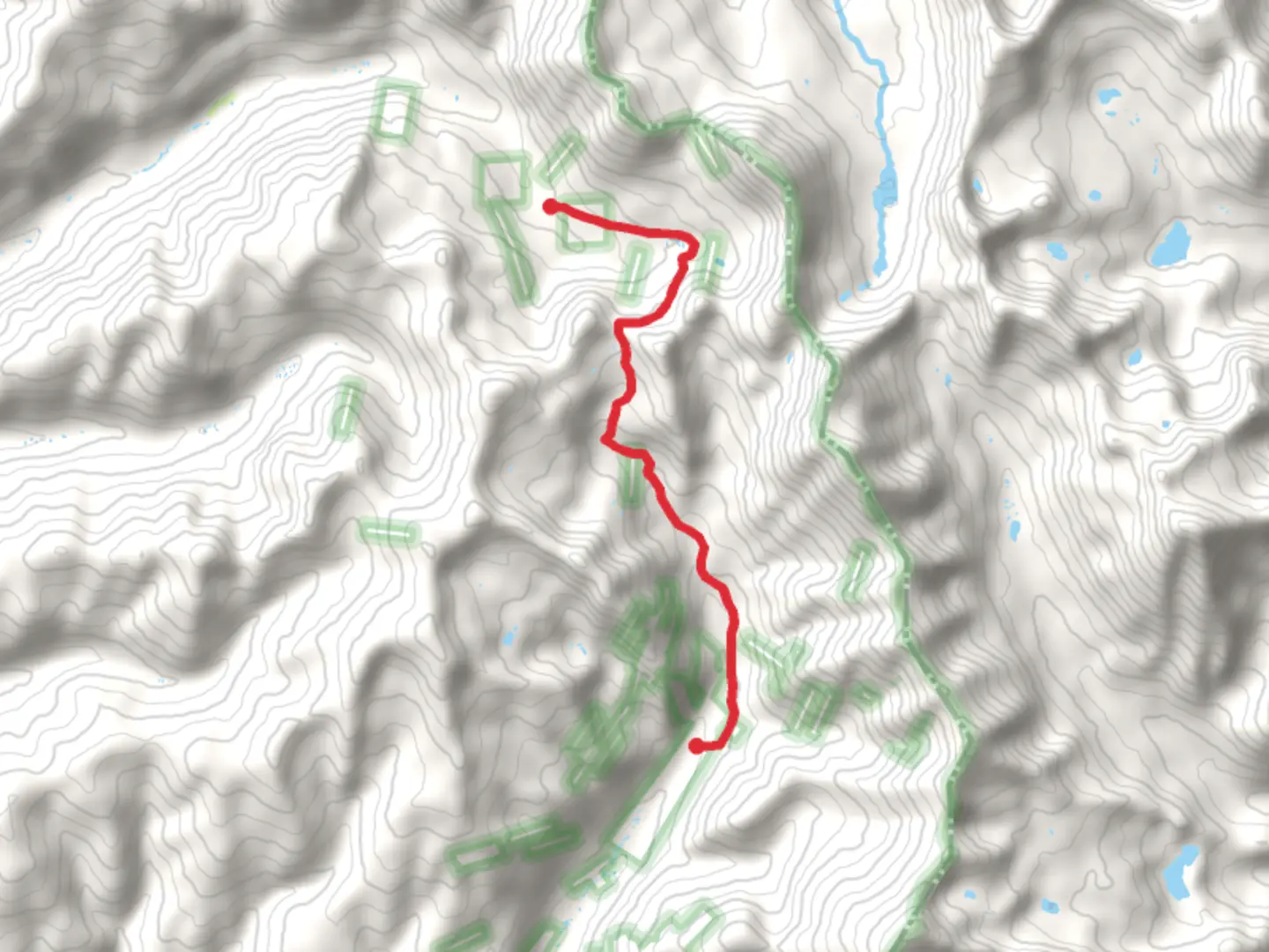 An image depicting the trail Forest Road 9888 Tomichi Pass and 7888 Tomichi Creek and its surrounding area.