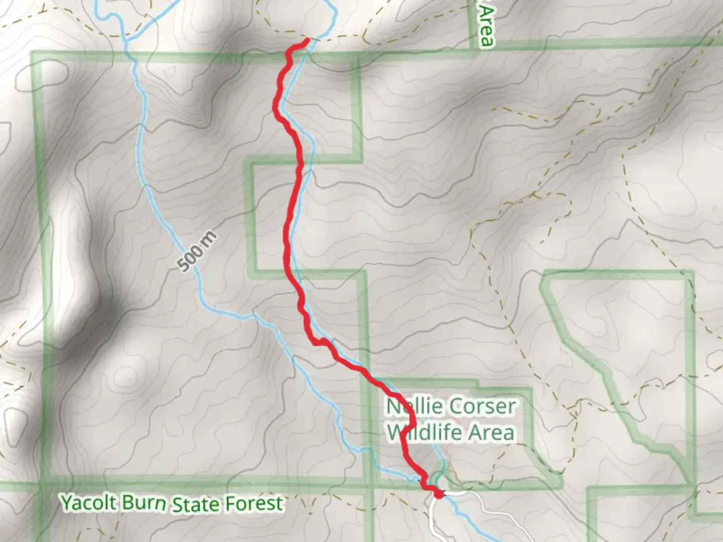 An image depicting the trail Walk beside Duncan Creek and its surrounding area.