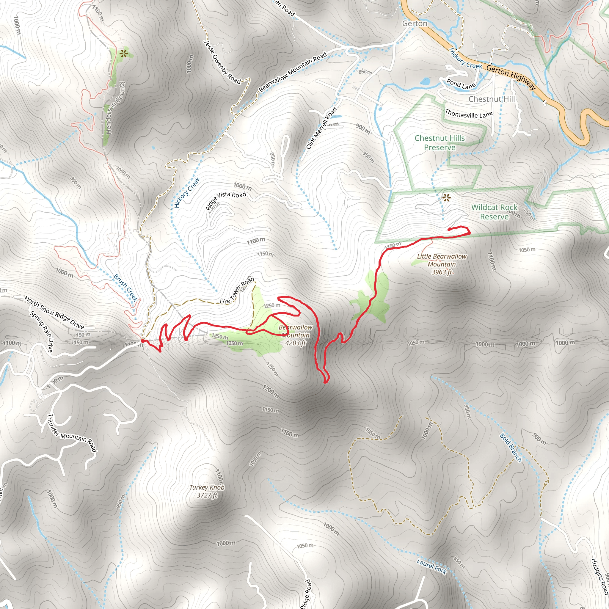 Bearwallow Mountain Trail and Wildcat Rock Trail mobile static map