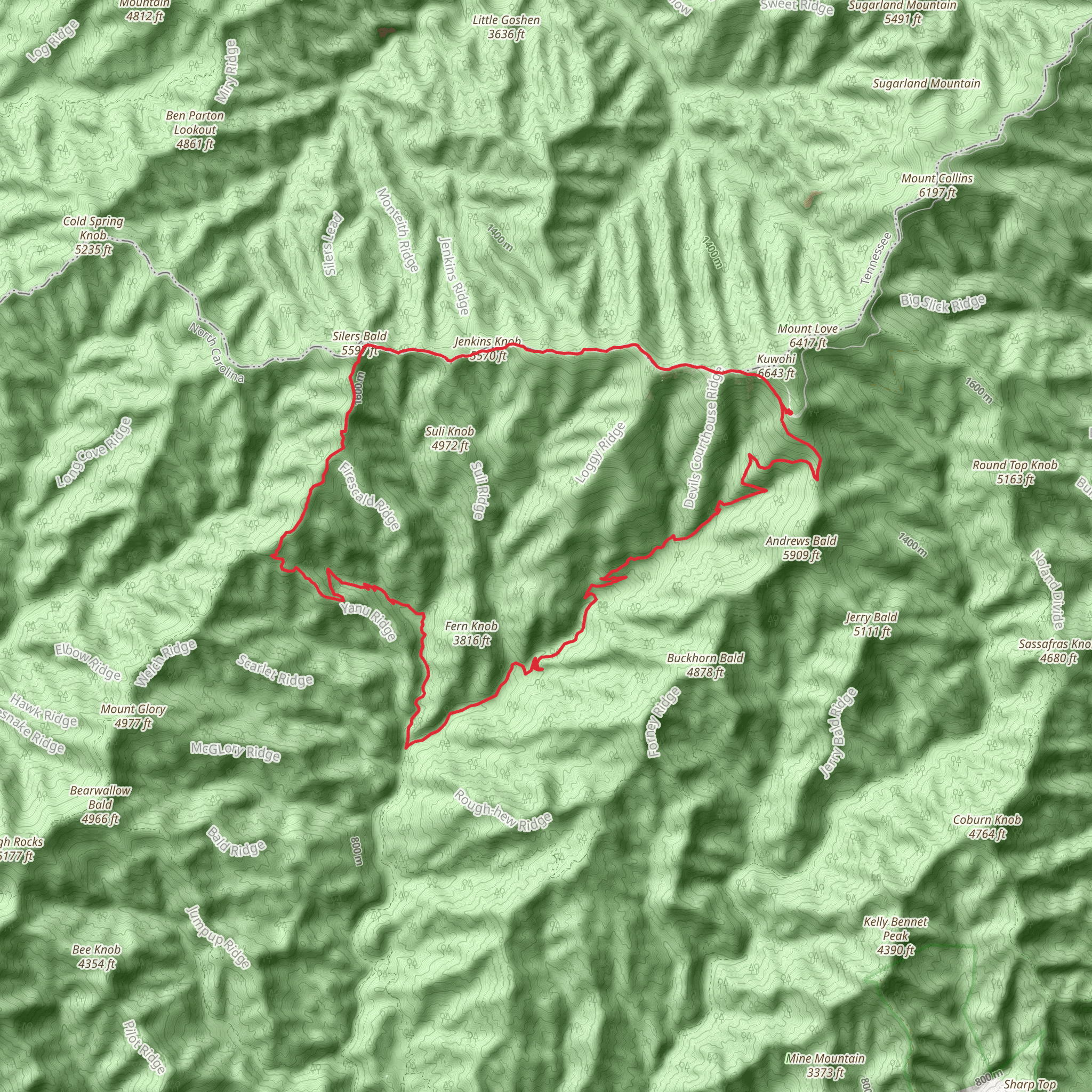 Mt Buckley, Welch Ridge and Jonas Creek Loop Trail mobile static map