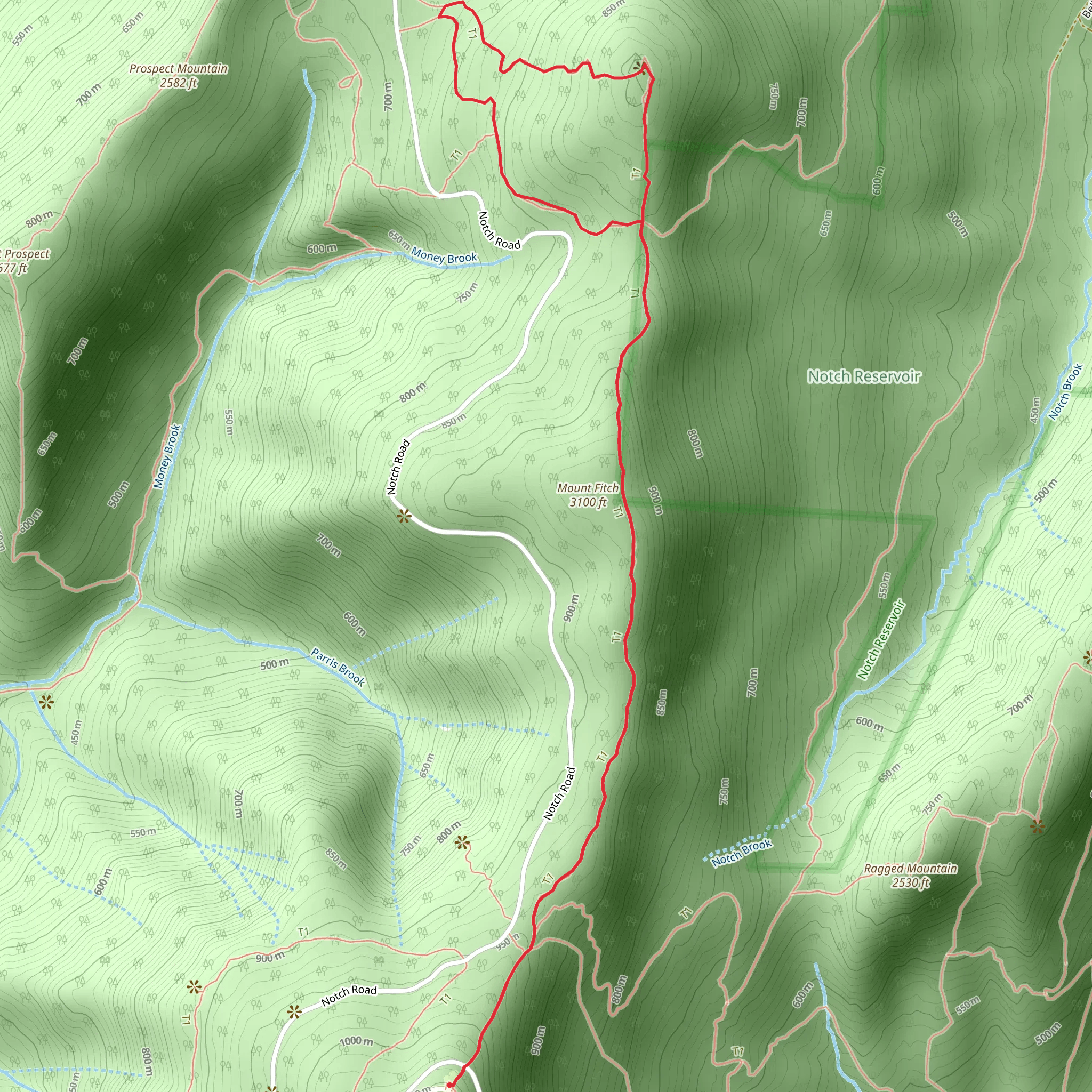Mount Williams Loop Trail mobile static map