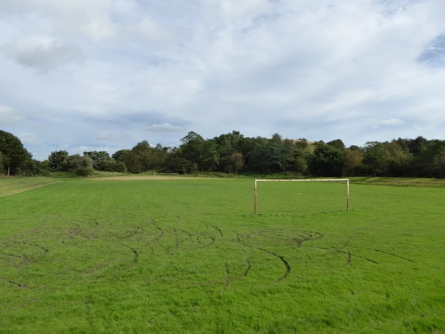 An image depicting the trail Hanley Forest Park Loop and its surrounding area.