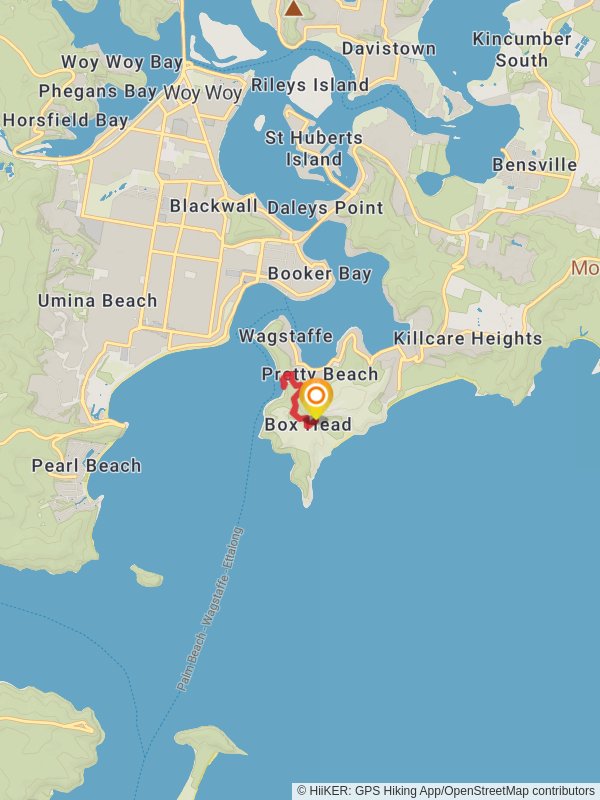 Flannel Flower Track mobile static map