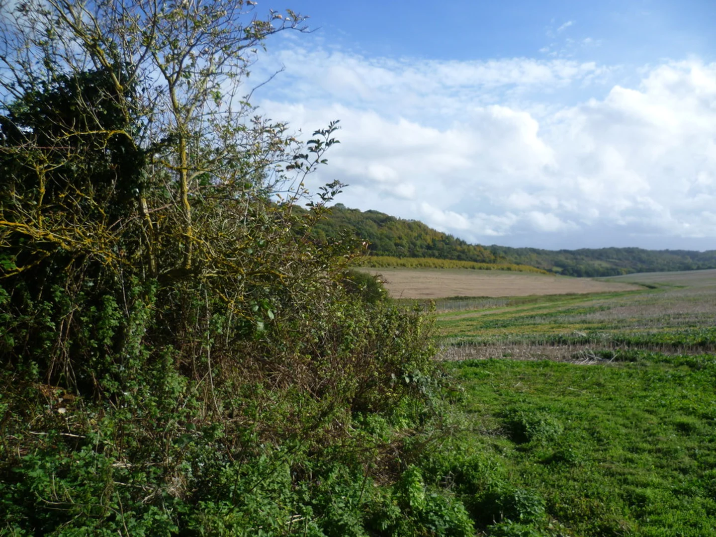 An image depicting the trail Otford to Romney Street and Kemsing Loop and its surrounding area.