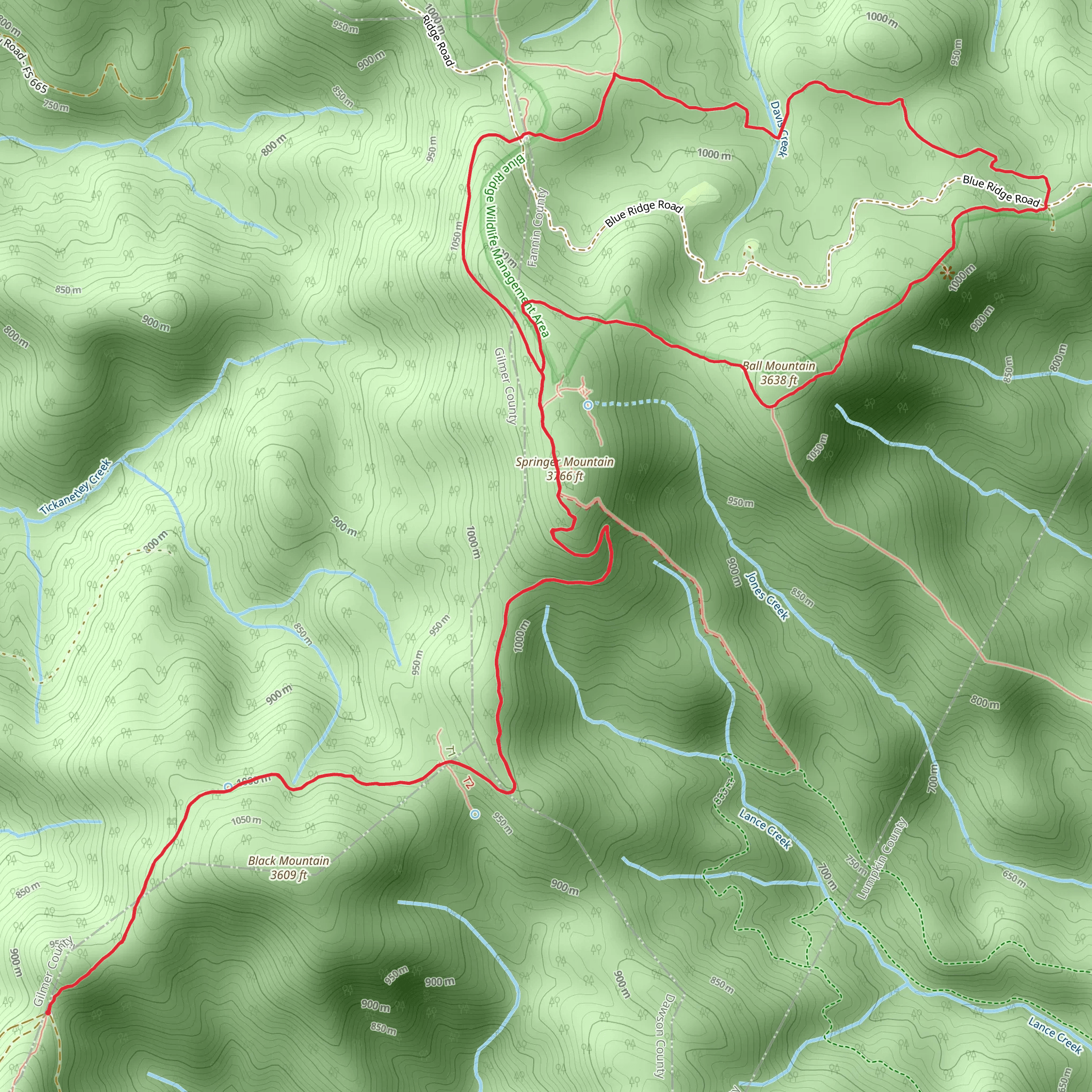 Springer Mountain and Ball Mountain Loop via Appalachian Trail mobile static map