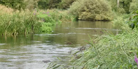An image depicting the trail Normanton Down and Stonehenge from Great Durnford and its surrounding area.