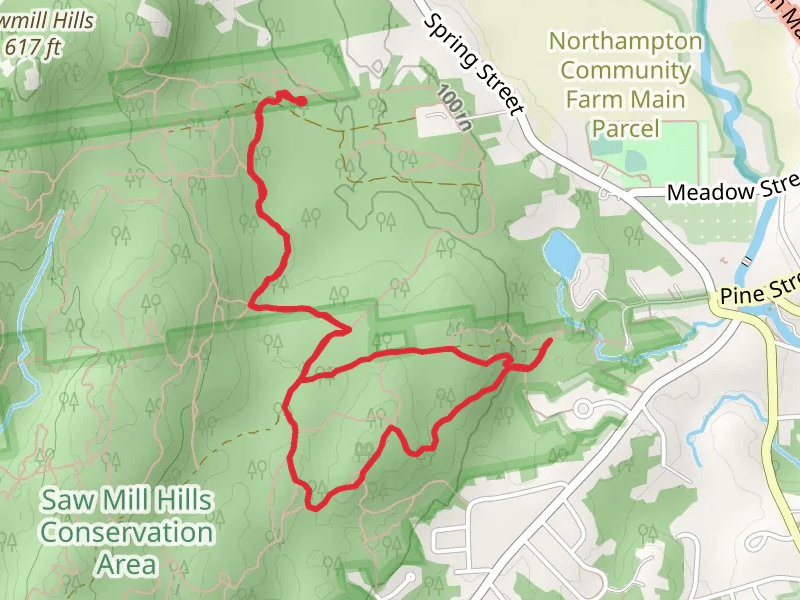 Florence Field via White and Blue Trail