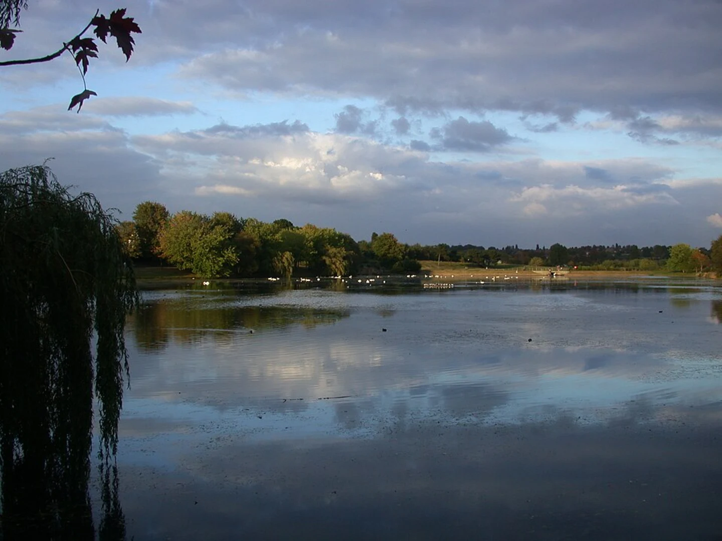 An image depicting the trail Witton Lakes to Longmoor Pool Walk and its surrounding area.