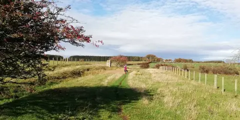 An image depicting the trail Wannie Line Walk and its surrounding area.