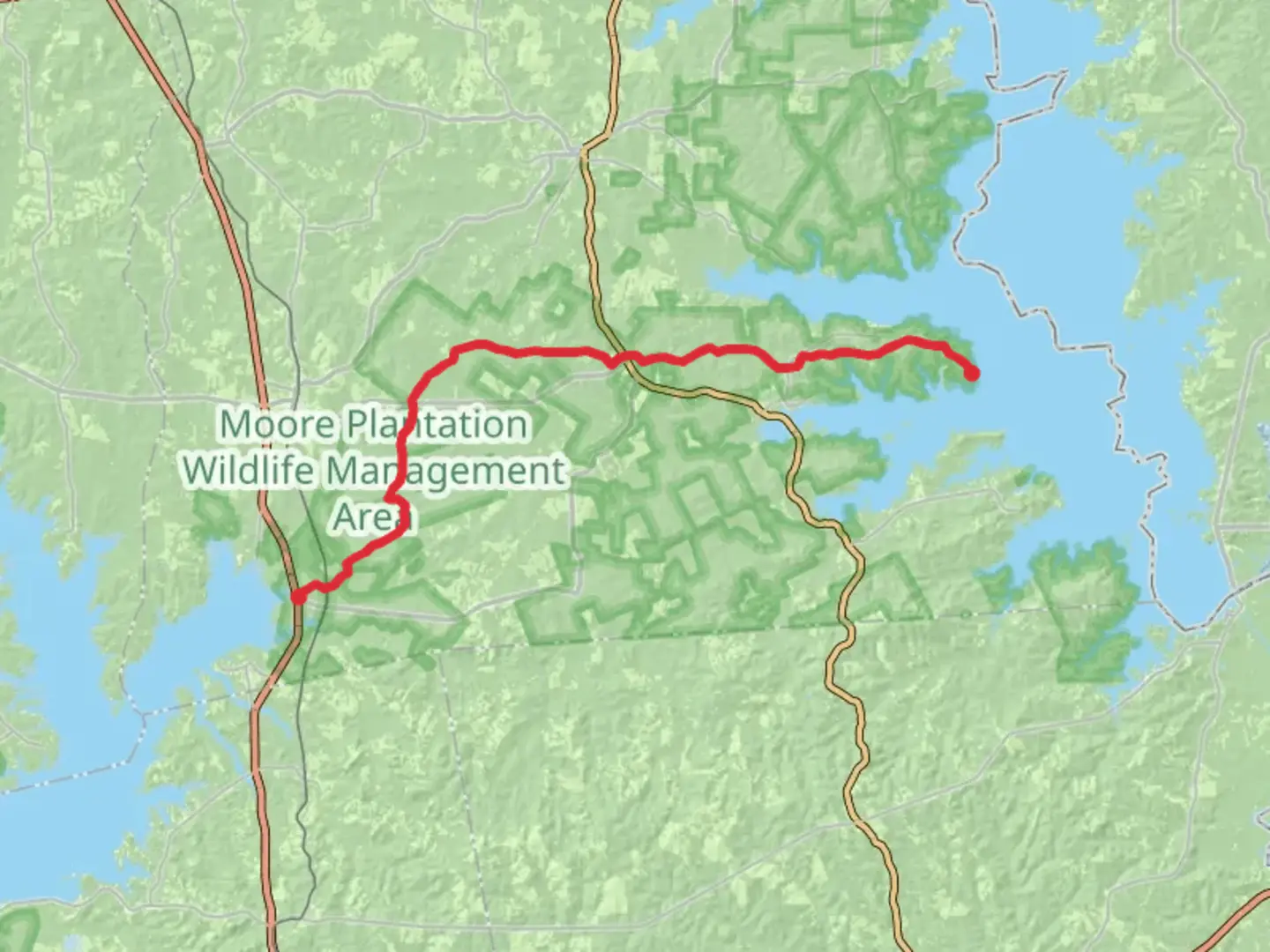 An image depicting the trail Trail Between The Lakes and its surrounding area.