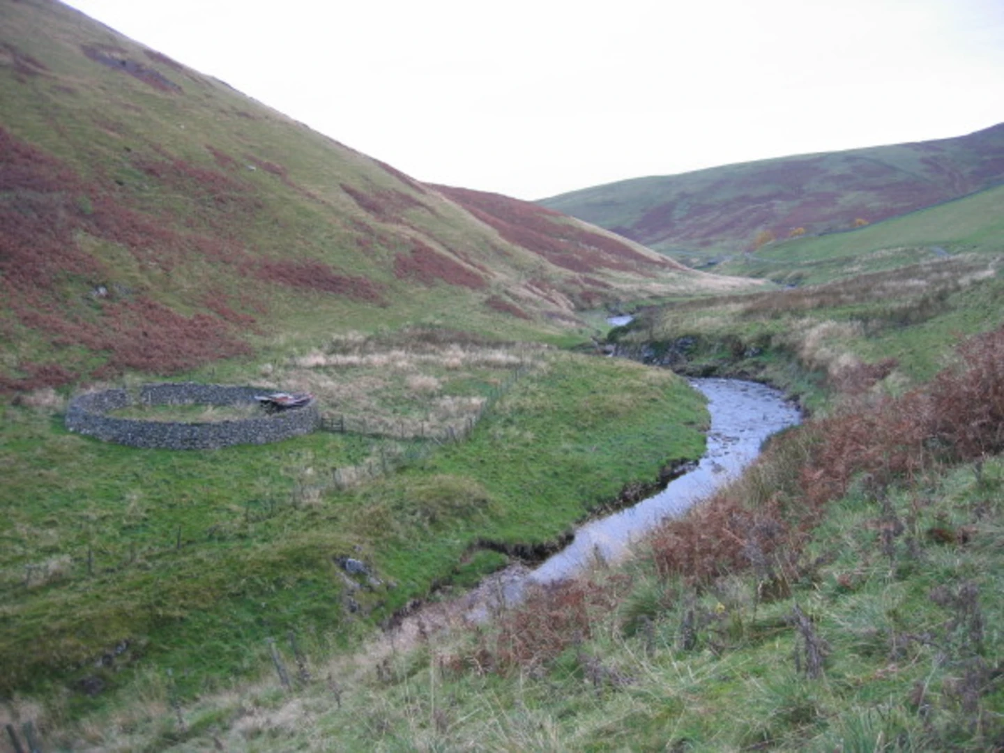 An image depicting the trail Sheepfold, Copper Scout and Uplaw Knowe Loop and its surrounding area.