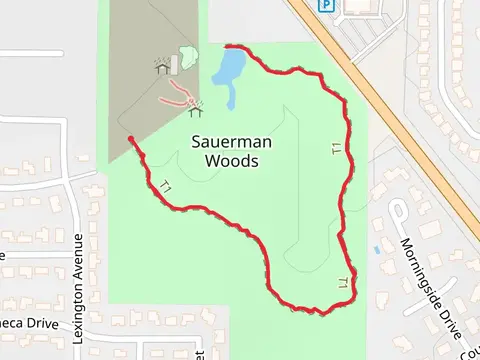 Sauerman Woods