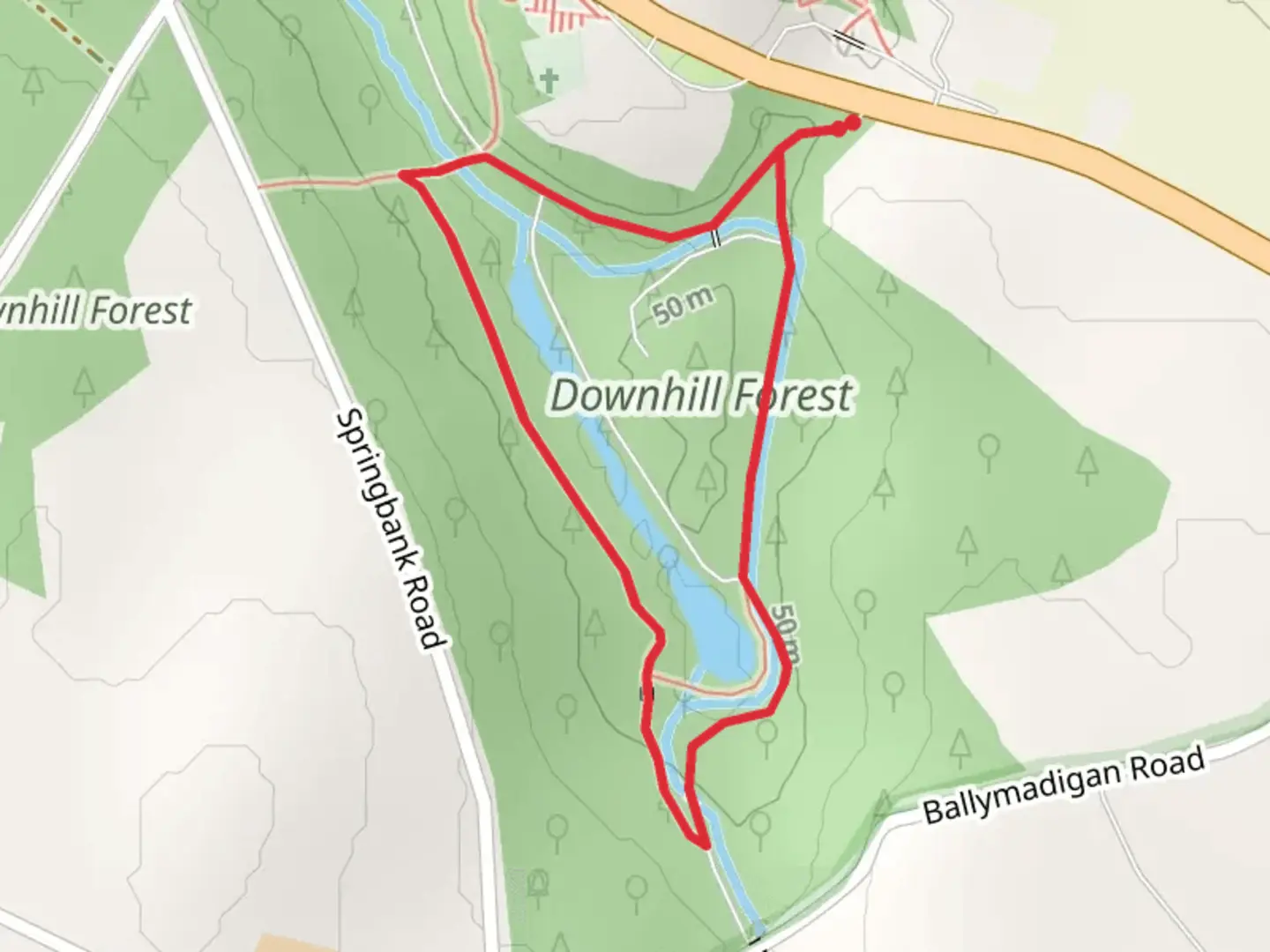 An image depicting the trail Downhill Forest Mill Trail and its surrounding area.