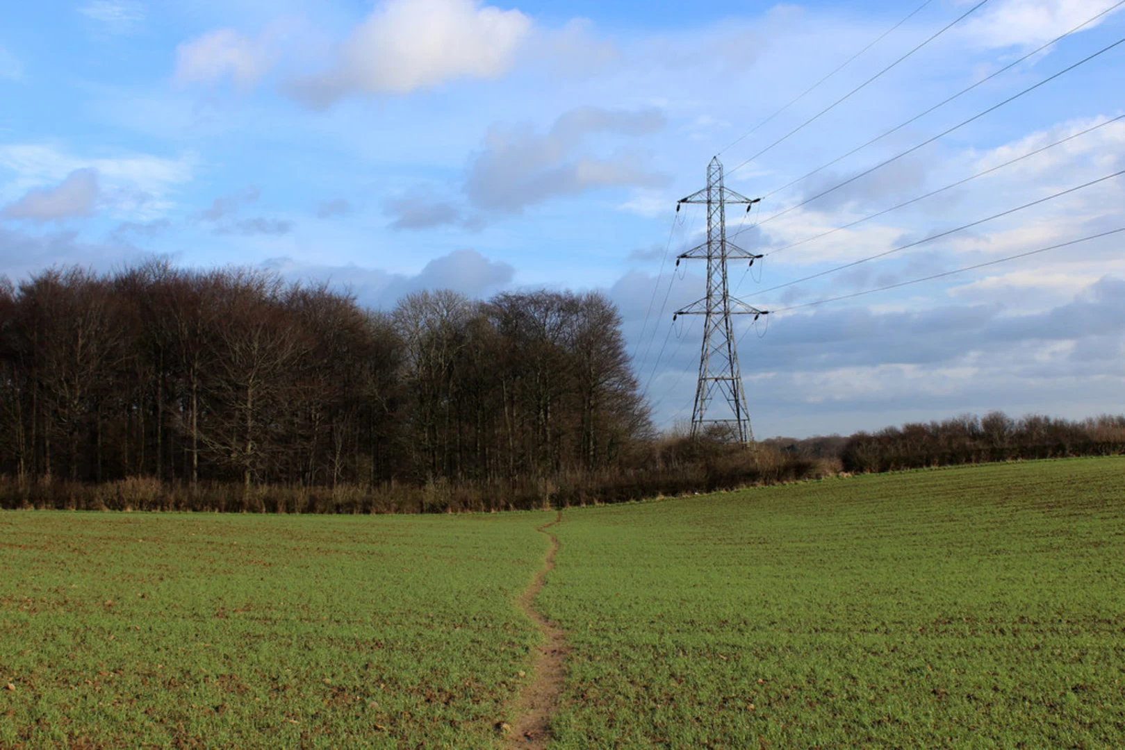 An image depicting the trail Bramham - Scarcroft Hill - Thorner and Bramham Park and its surrounding area.