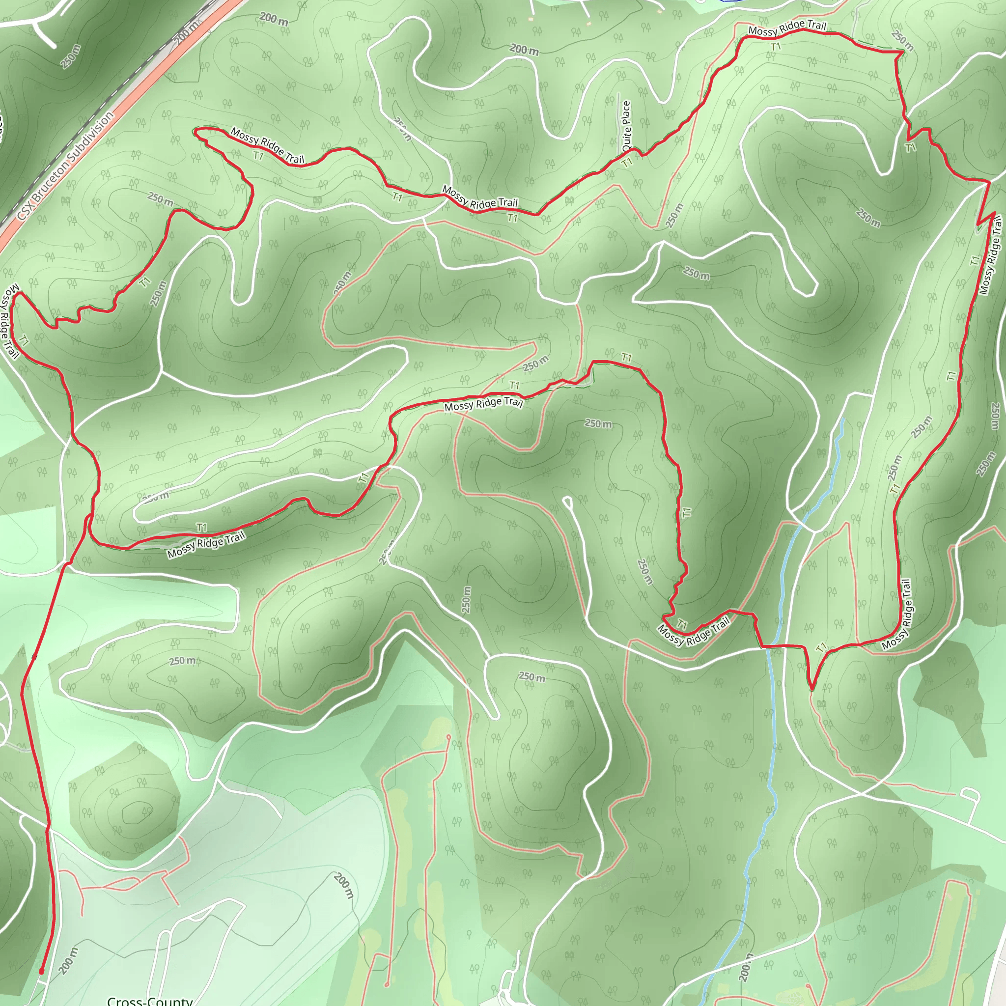 Mossy Ridge Loop via Cane Connector Trail mobile static map