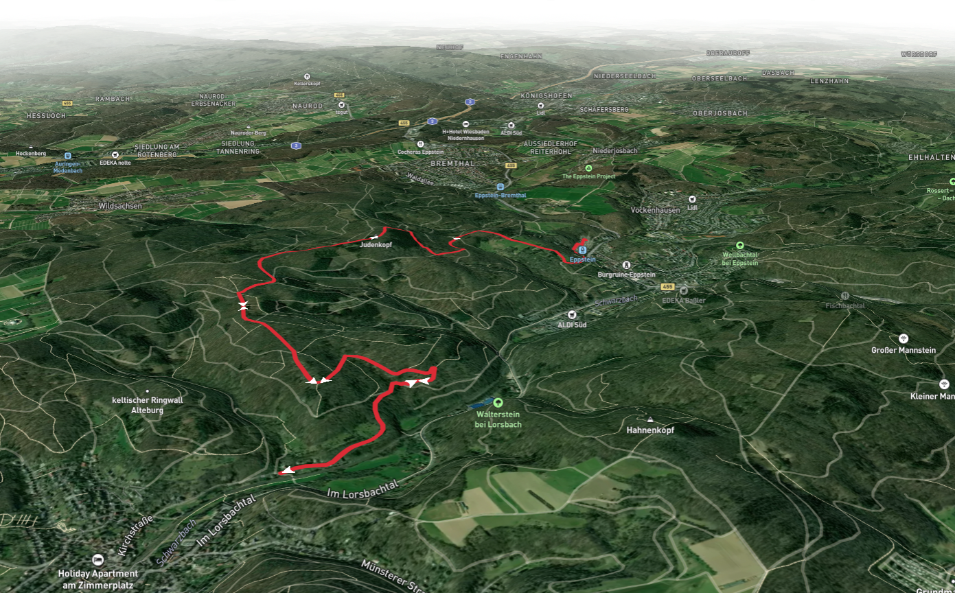 Judenkopf Hill Walk via Theodor Fliedner Weg