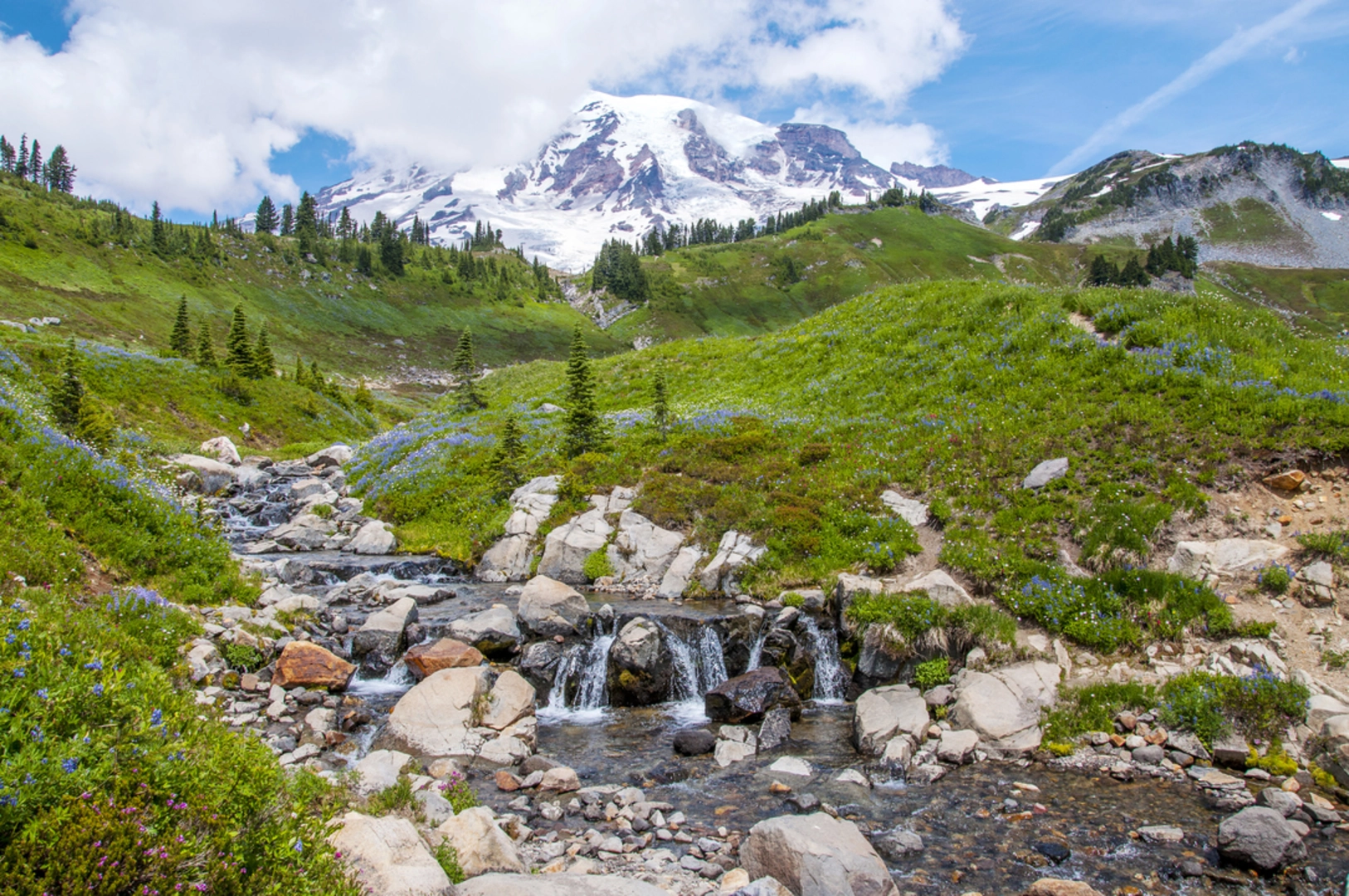 An image depicting the trail Emerald Ridge Trail and its surrounding area.