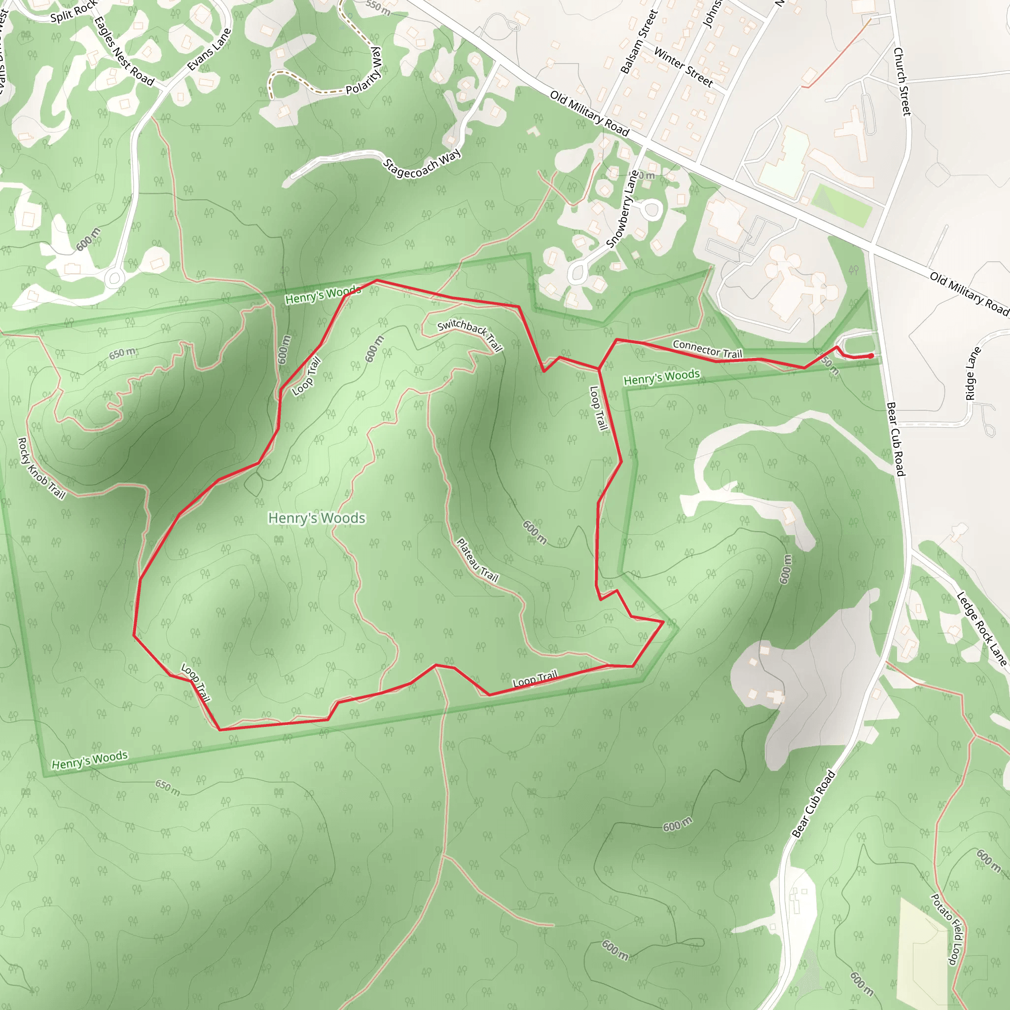 Henry's Woods Loop Trail mobile static map
