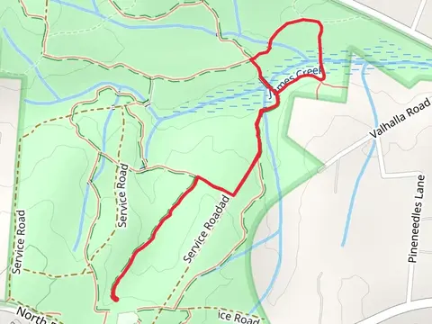 Pine Barrens Trail and Pine Island Loop Trail