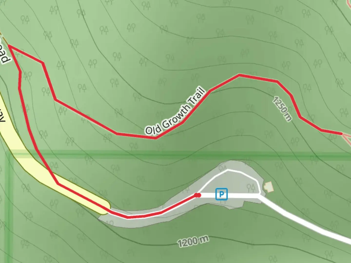 An image depicting the trail Old Growth Trail and its surrounding area.