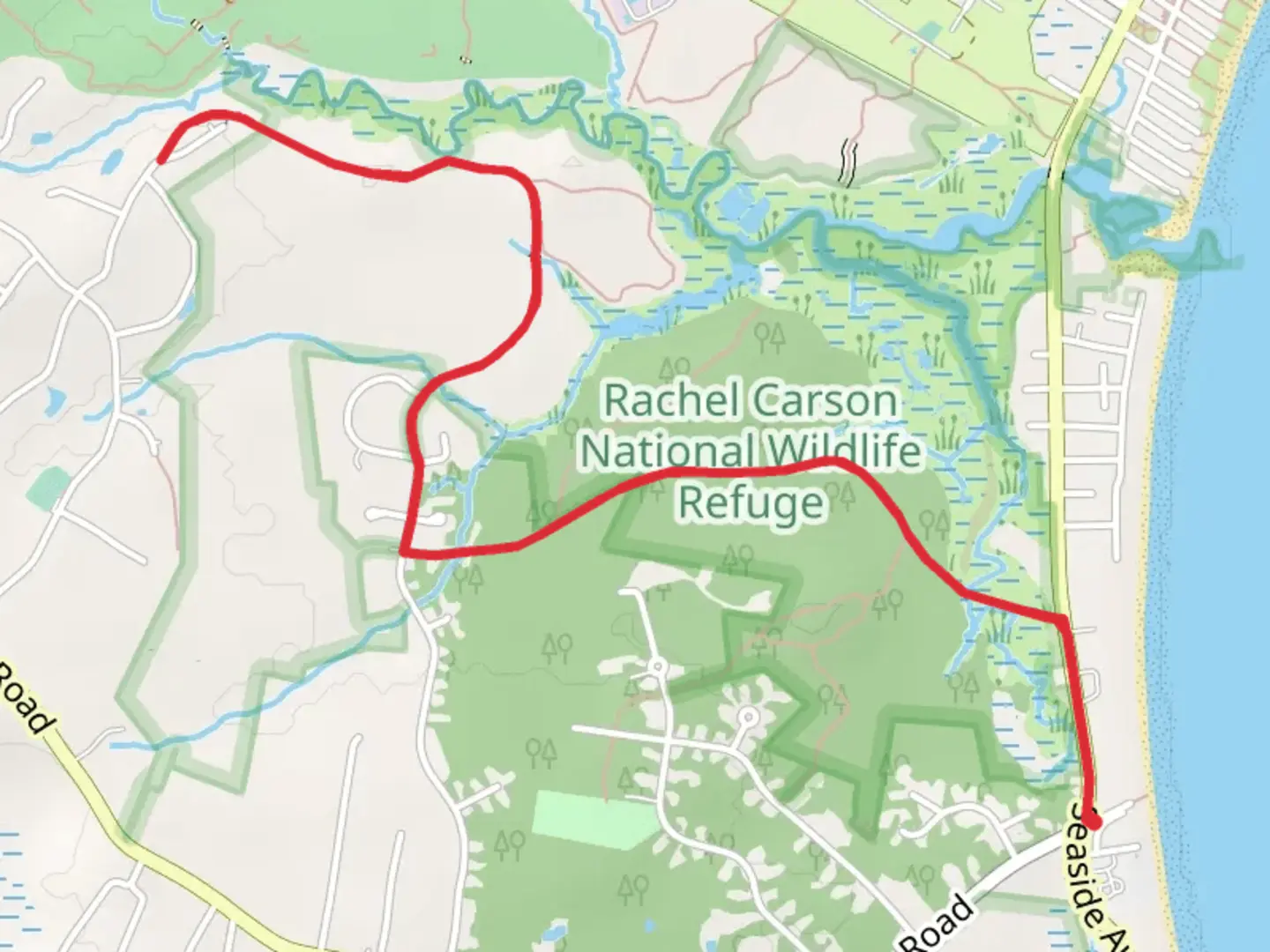 An image depicting the trail Goosefare Brook via Atlantic Way Trail and its surrounding area.