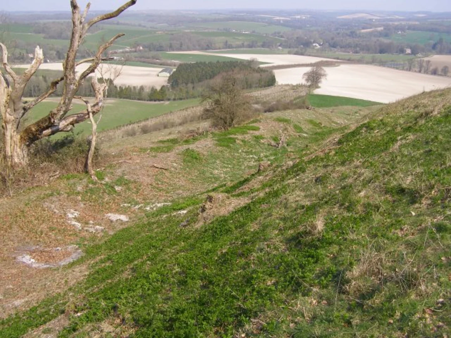 An image depicting the trail Beacon Hill and Warnford from Exton and its surrounding area.