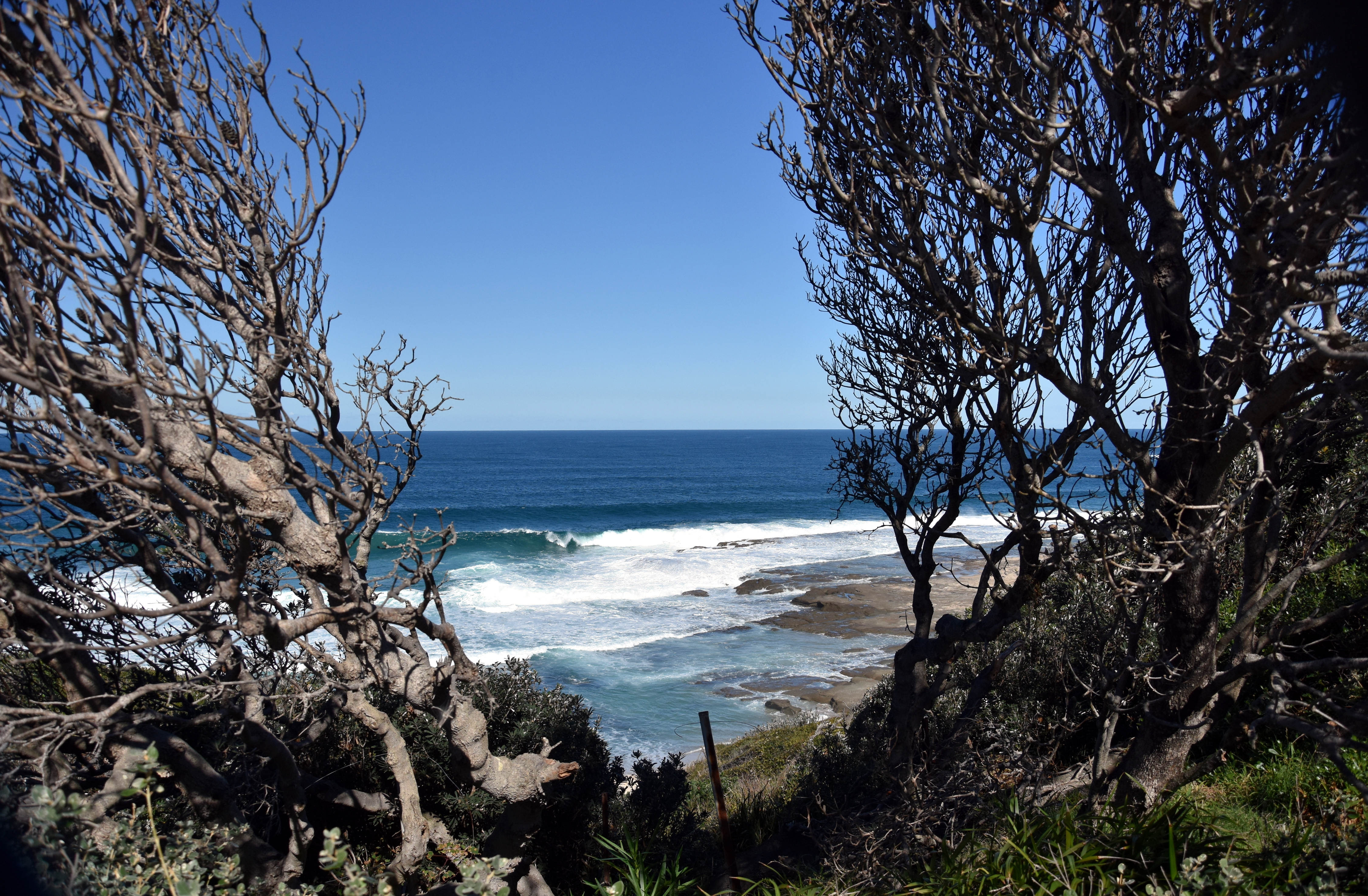 An image depicting the trail Wyrrabalong National Park and its surrounding area.