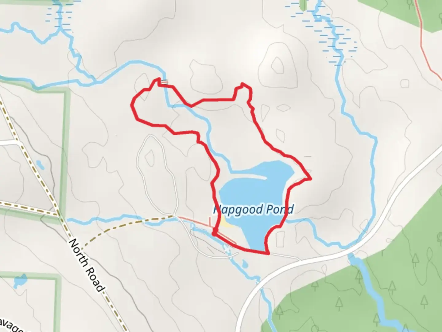 An image depicting the trail Hapgood Pond Loop Trail and its surrounding area.