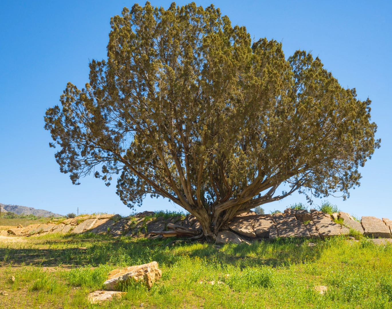 An image depicting the trail Keysville Classic Loop - Pearl Harbor Drive and its surrounding area.